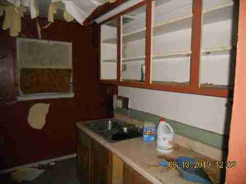 15017 Dolphin (8)_m.jpg